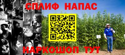 прущие грибы Сланцы