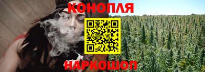 прущие грибы Сланцы