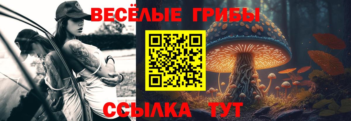 Обь  Псилоцибиновые грибы мухоморы  Вход с VPN  Псилоцибиновые грибы Cubensis 